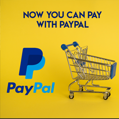 We accept paypal