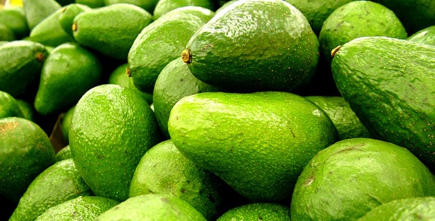 Aguacate