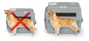 PERRITOS